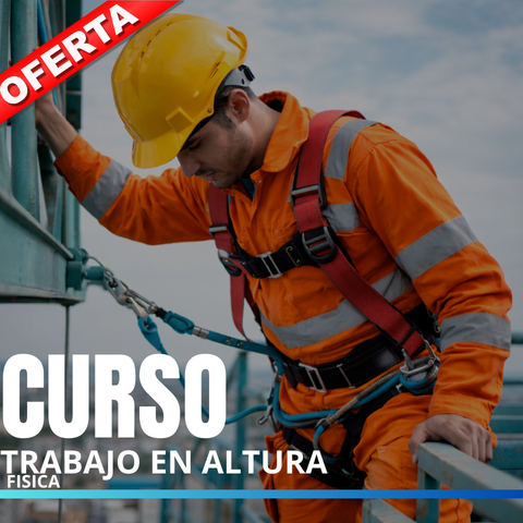 Curso 1